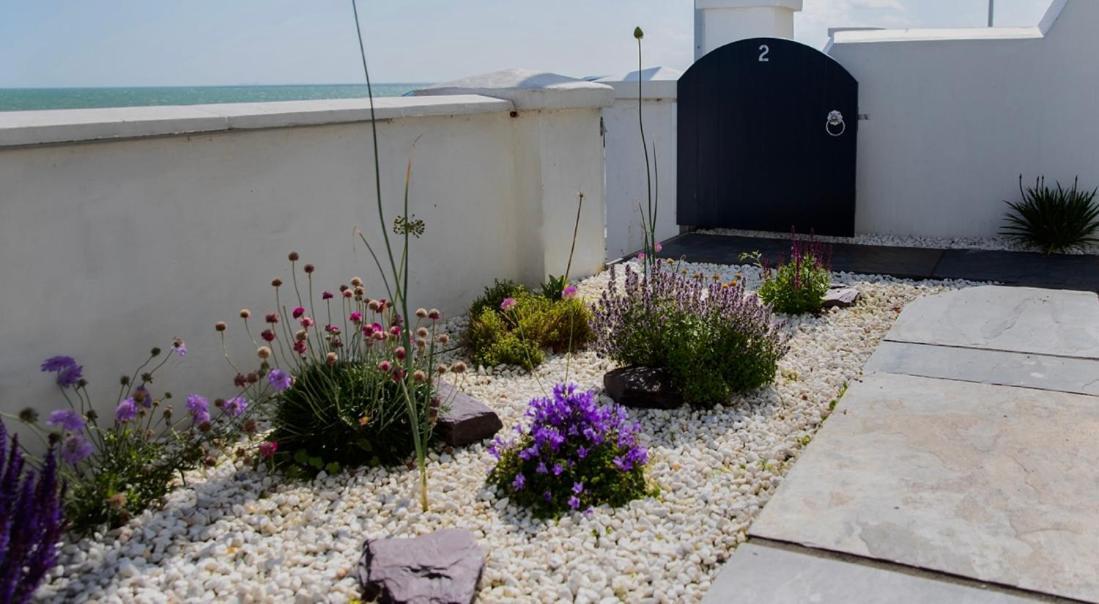 Beach View, 4 Bedroom House Opposite The Sea! Sleeps 10 サンドゲート エクステリア 写真